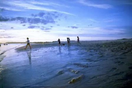 Crane beach